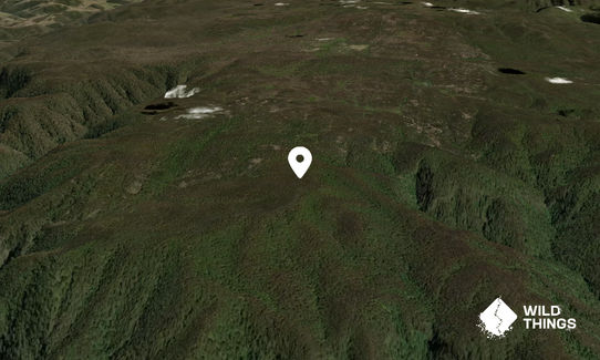 Mount Misery