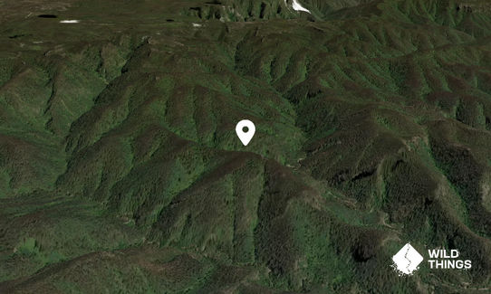 Arabanoo Peak