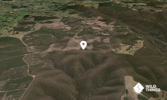 Mount Trickett