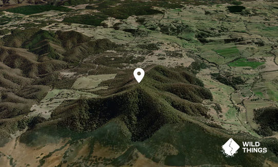 Mount Tarana