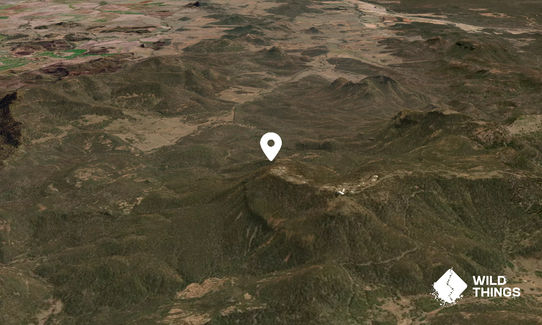 Mount Woorut