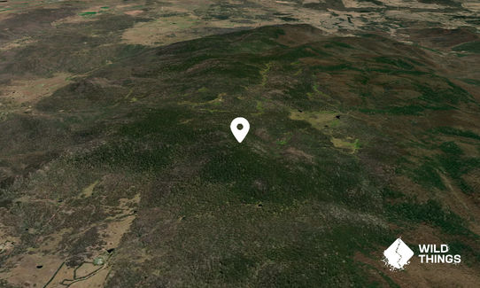 South Black Range