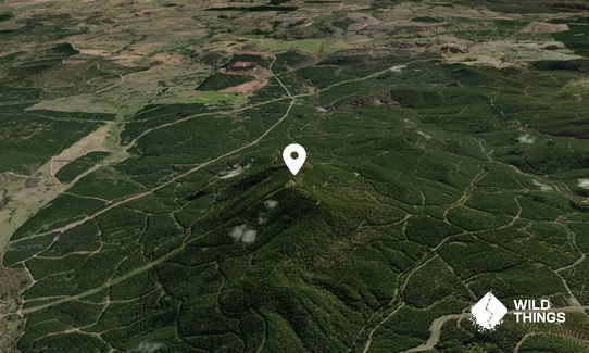 Tumorrama Mountain