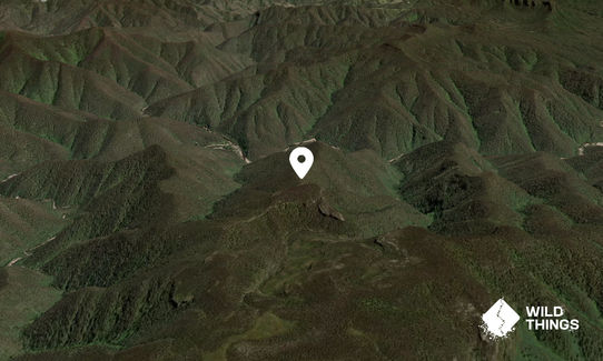 Mount Moorilla