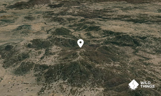 Yellow Bull Mountain