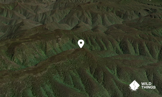 Ti Willa Hill