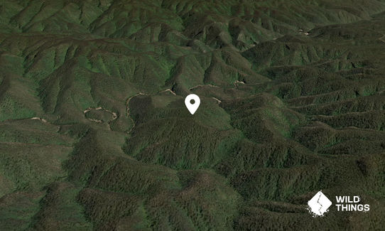 Mount Milo