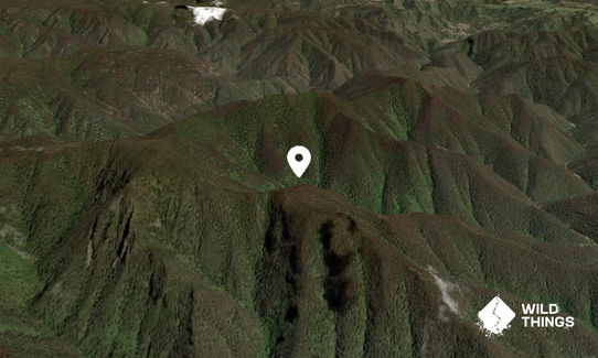 Mount Bullagowar