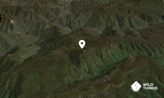 Mount Bolworra