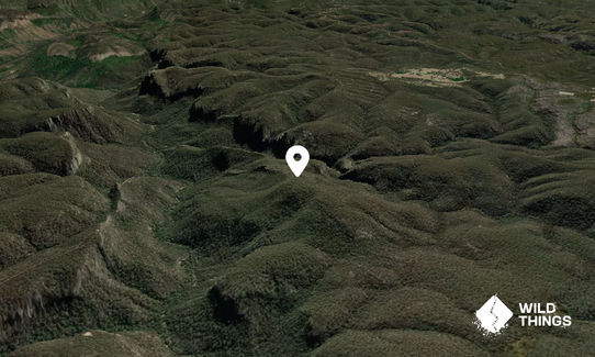 Flat Top Mountain