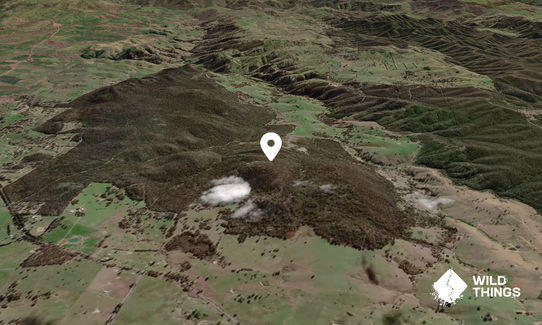 Mount Wells