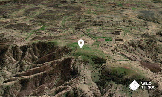 Middle Bald Hill