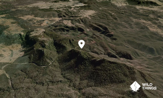 McDonalds Mountain
