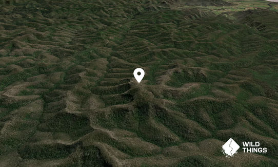 Mount Isobel