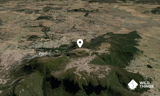Cumber-Melon Mountain (Mt Baldy)