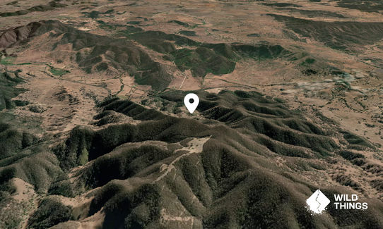 Mount Knowles