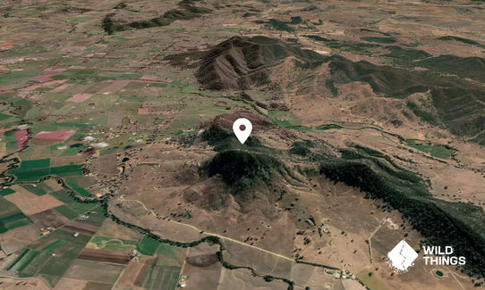 Mount Frome