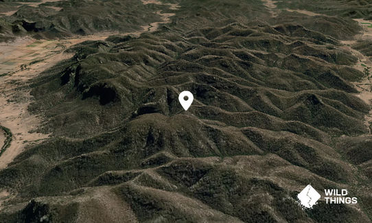 Torbanite Mountain