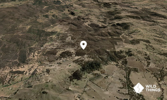 Mount Rankin
