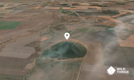 Mullaley Mountain