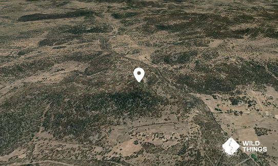 Saddleback Mountain