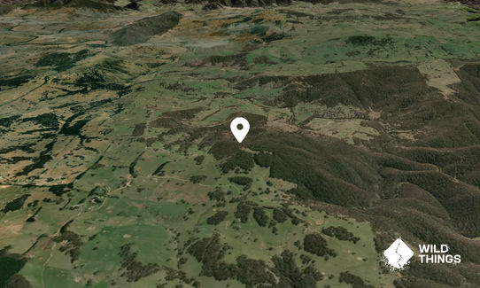 Black Mountain