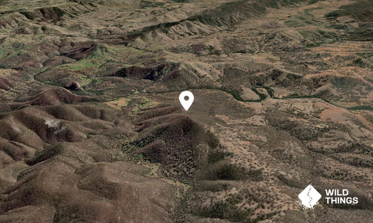 Mount Tanwarra