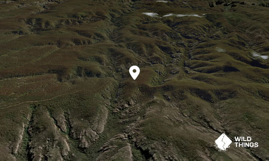 Mount Norris