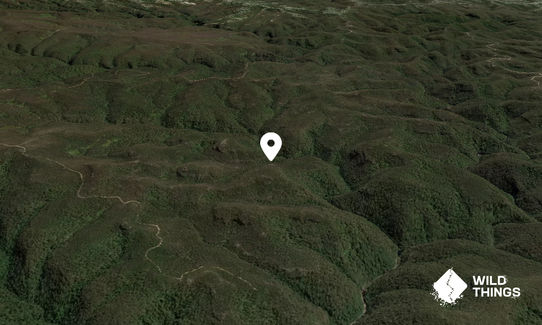Mount Gibson
