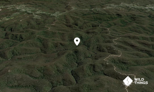Scorpion Hill
