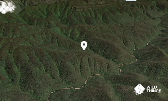 Mount Hughes