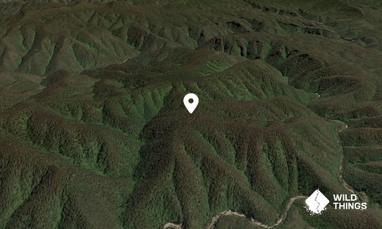 Wonga Mountain