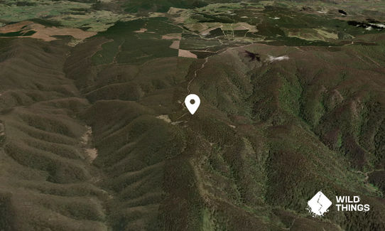 Kiaora Hill