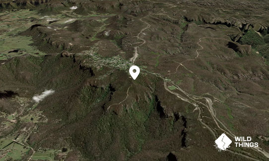 Mount Piddington