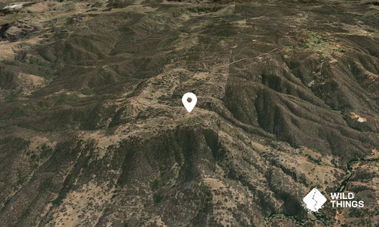 Junction Mountain