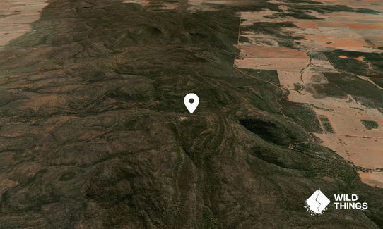 Mount Bingar