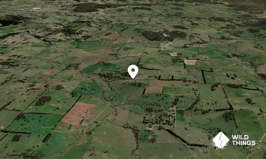 Bald Hill
