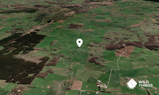 Bushrangers Hill