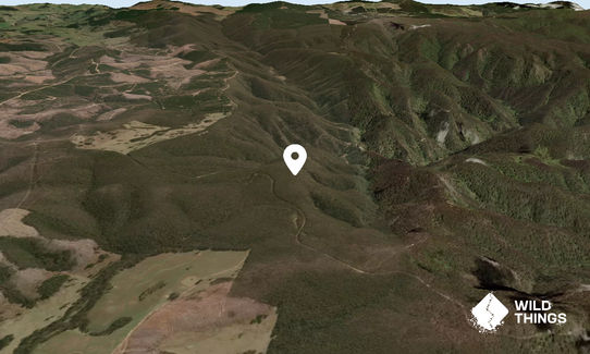 Mount Wiburd