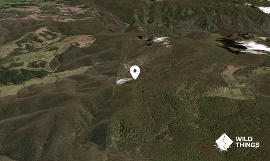 Mount Budthingeroo
