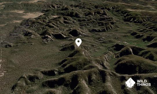 Bluff Mountain