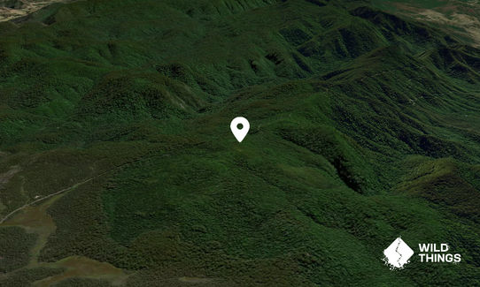 Summit Mountain
