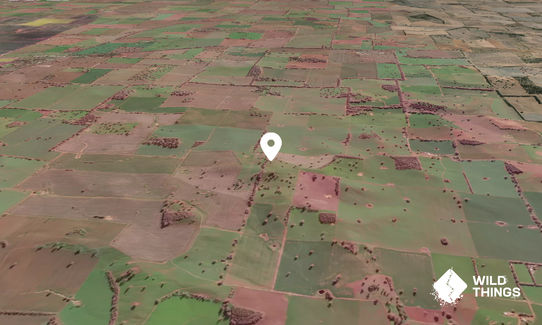 Hovell Hill