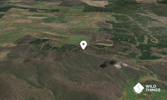 Mount Rial