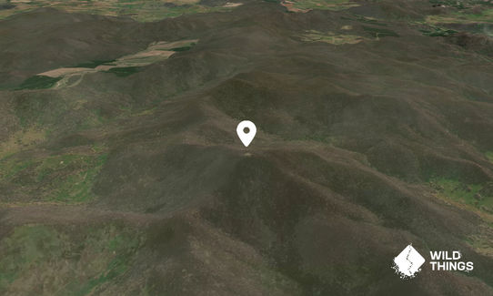 Mount Jingellic