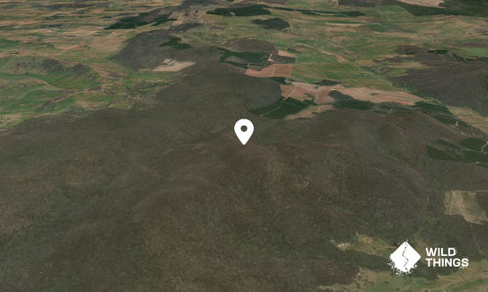 Mount Tipperary