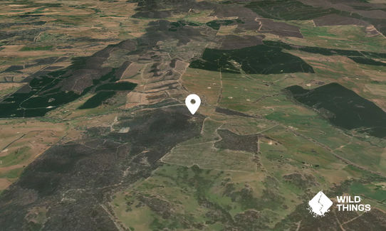 Lankey Hill