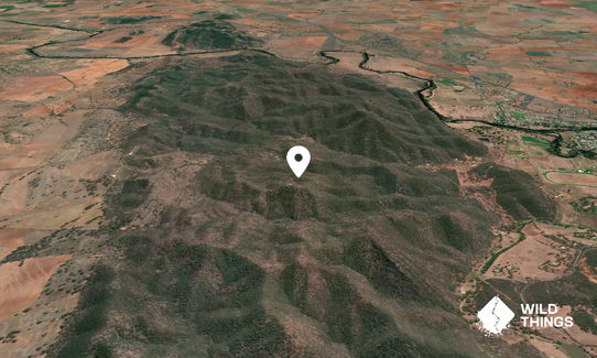 Mount Wellesley