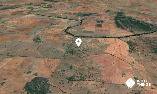 Mickety Mulga Hill