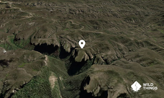 Dalpura Head
